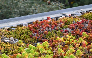 the cost of Brockhampton Green green roof installation