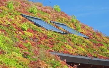 Brockhampton Green living roof systems