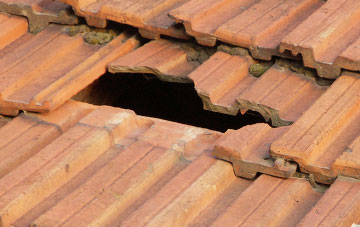 roof repair Brockhampton Green, Dorset