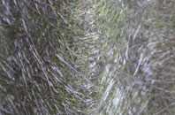 Brockhampton Green fibreglass roof work